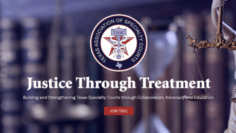 Texas specialty courts