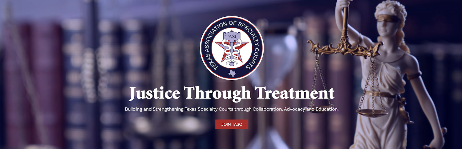 Texas specialty courts